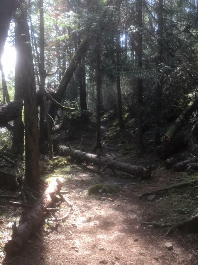 Oceanspray Hideaway Apartment North Saanich Luaran gambar